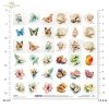 motyle, owady, skrzydła, muszle, ocean, plaża, morze, kwiat, hibiskus, egzotyczny, owoc, pitaja, marakuja, limonka, mango, granat, papaja, kokos, banan, akware* butterflies, insects, wings, seashells, ocean, beach, sea, flower, hibiscus, exotic, fruit, dr